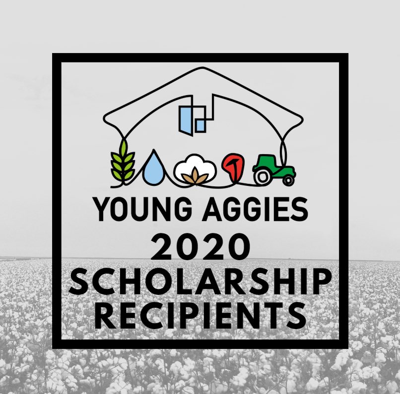 Young Aggies Moree tweet media
