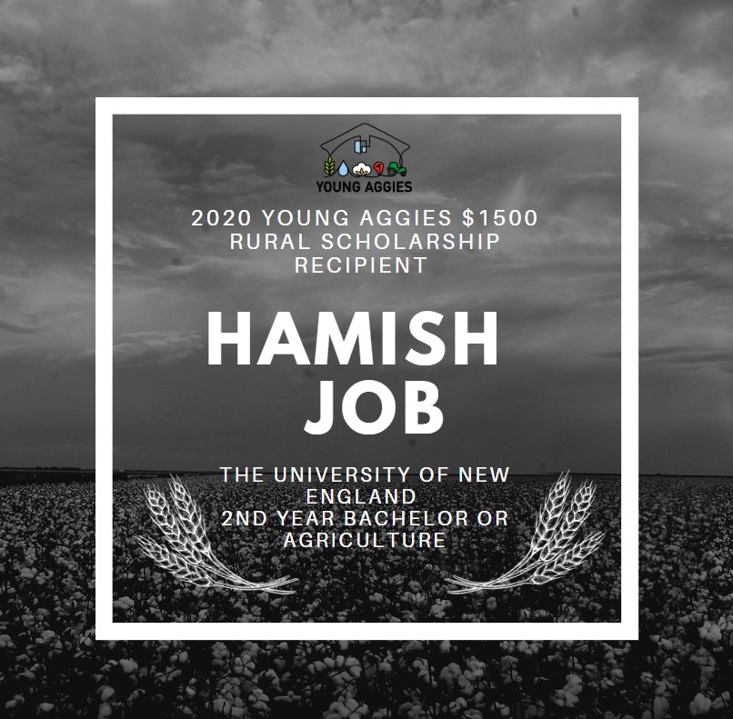 Young Aggies Moree tweet media