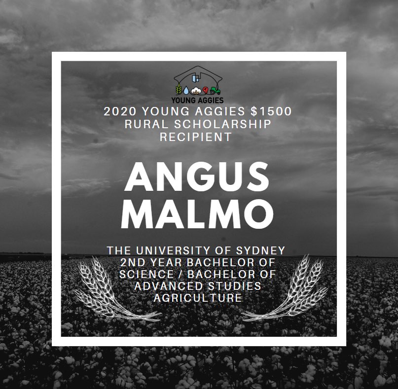 Young Aggies Moree tweet media