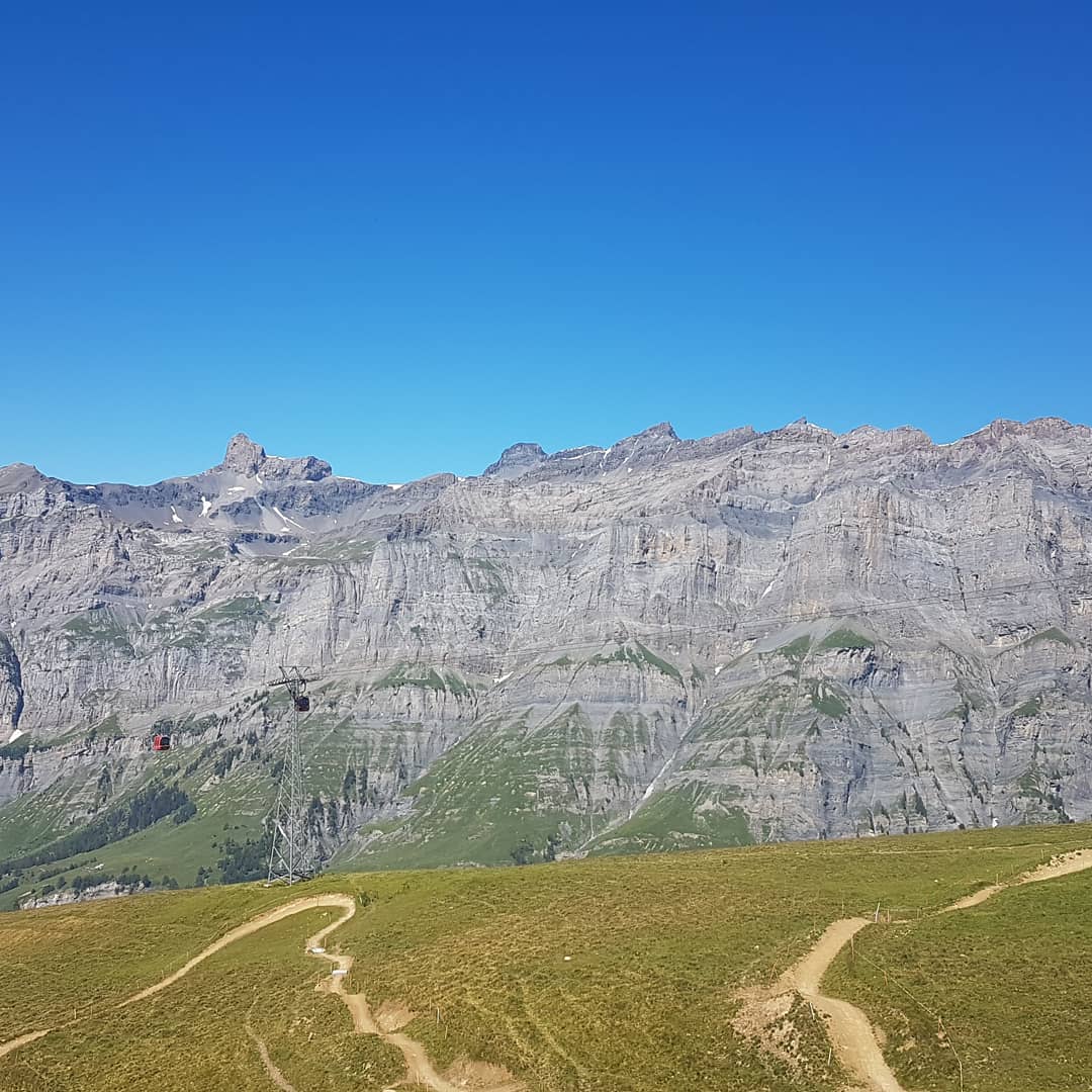 blackswan2017's tweet photo. #torrent #switzerland #wonderful #wallis #valais https://t.co/LFhcSb30t6