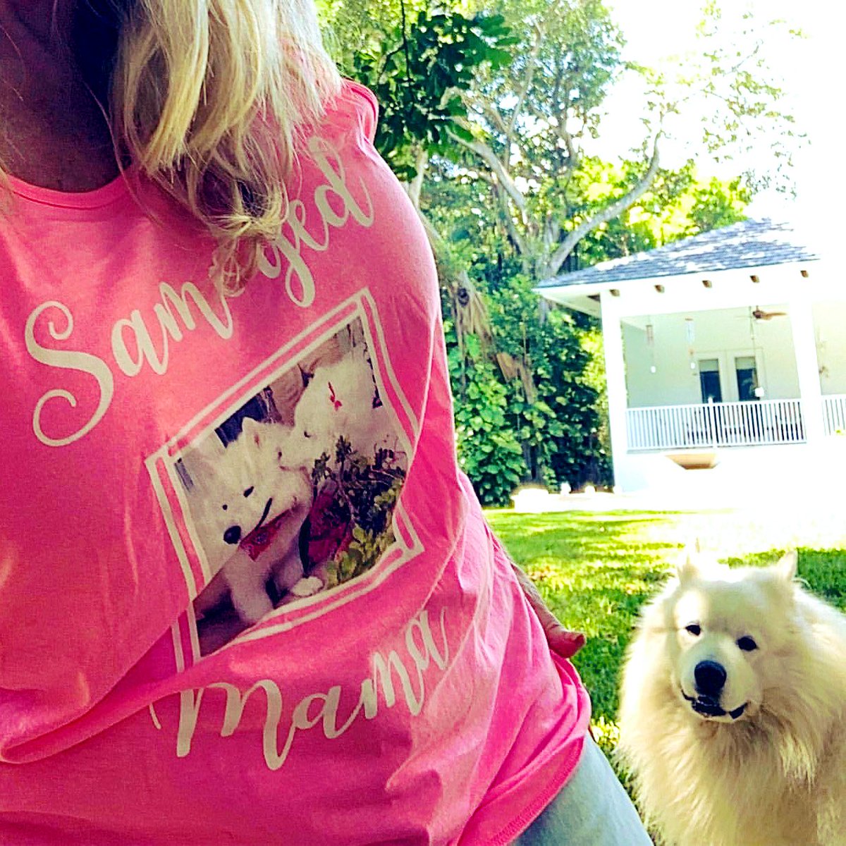 samoyedsnow's tweet photo. He's smiling because he loves my new tank. #dogsfordays #samoyeds  #samoyed #dogtanktop  #stuartflorida  #pinktop #smilingsamoyed https://t.co/P1lUOJ0ykW
