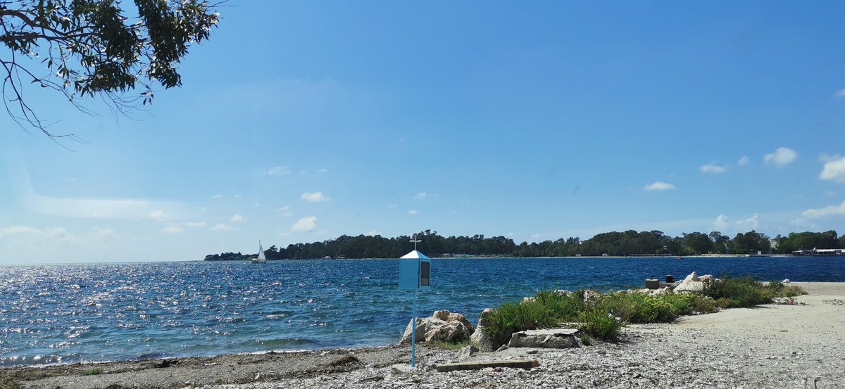 Junior Precarian tweet media