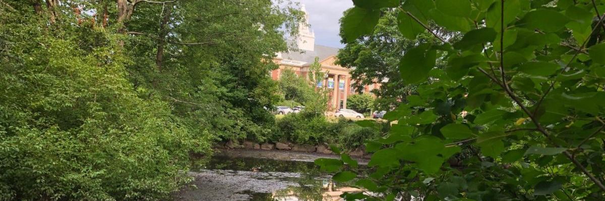 Newsletter for August 7, 2020 conta.cc/3iorMTz