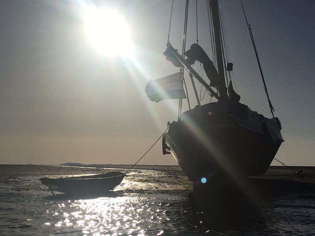 ElsLicht's tweet photo. #deHon #Ameland #heerlijk #fris #zeewind https://t.co/4YFvPvYUcc