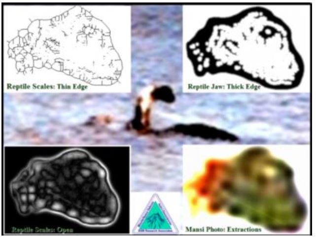 Also in keeping with the ‘animal hypothesis’ is the work of aerospace engineer Clifford A. Paiva. Paiva did some computer enhancements of the monster’s head and has presented evidence for scales, an eye and the line of the mouth. Yeah, look…