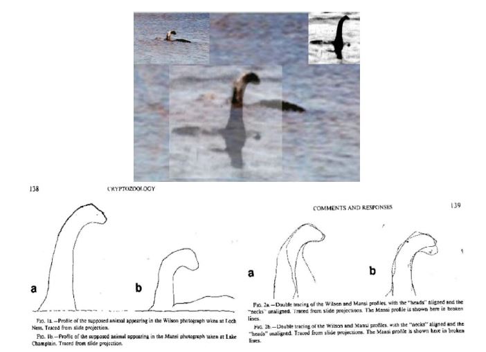 Cryptozoologist (and ISC founder) Richard Greenwell said that the object in Mansi's photo looks like the object in the Surgeon’s  #LochNessMonster photo, as if this provides support for it. But spoiler: the Surgeon’s photo is a hoax: see my thread here...  https://twitter.com/TetZoo/status/1280597569131995139).