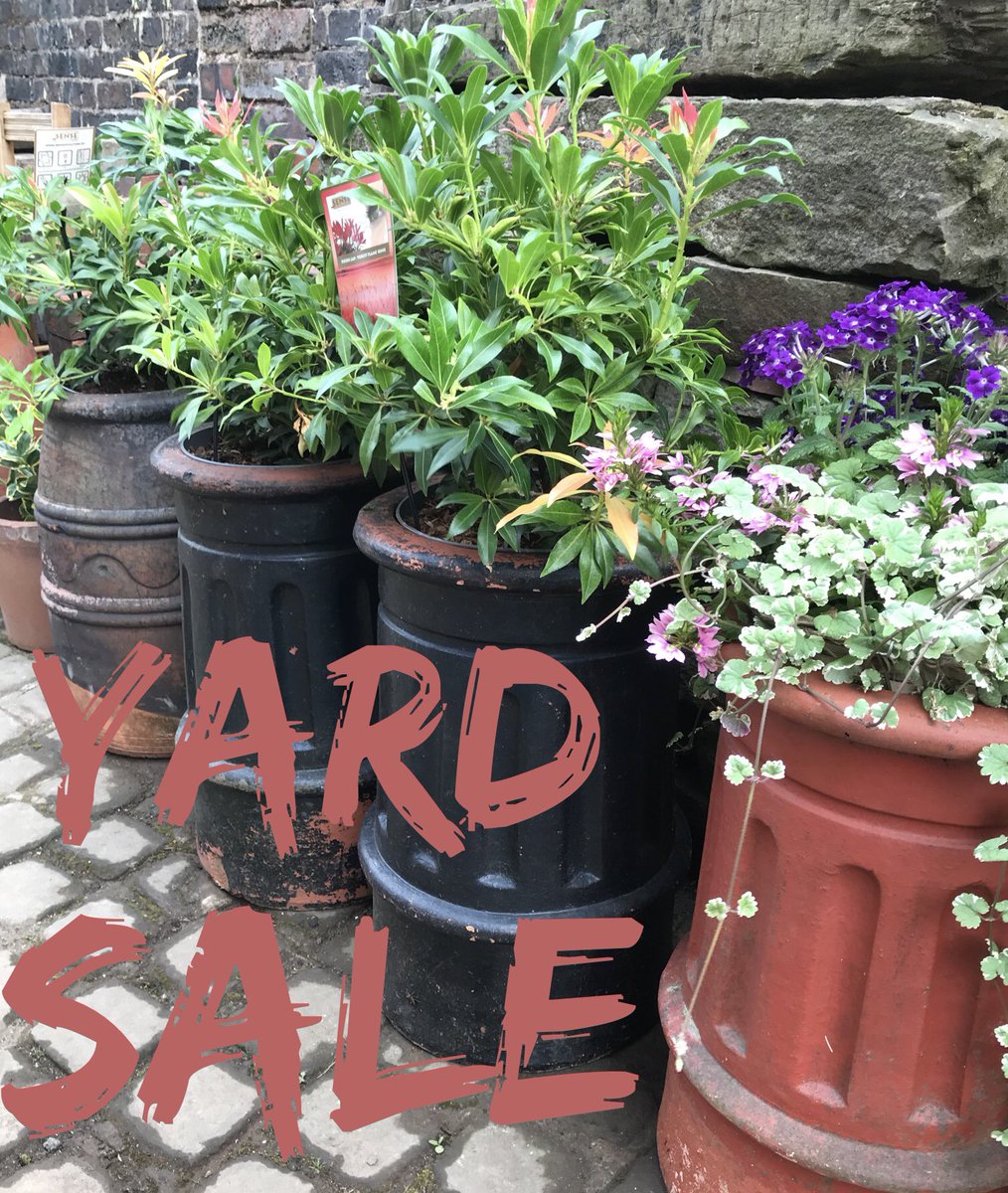 💕Pots of Love 💕 perfect for the garden 💕Cherished Chimneys yard sale Saturday 8th August  10 till 4 #gardening #chimneypots #vintage #heritage #yardsale