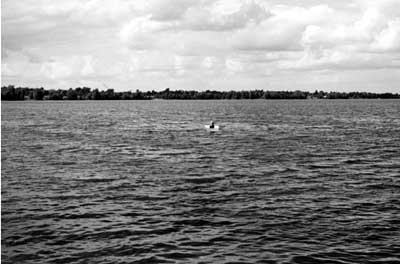 ... that the object had to be around 2 m long in total, and with a neck less than 1 m tall (in these photos,  @BTRadford is some distance from shore, in the lake. How come he didn't get eaten?)...