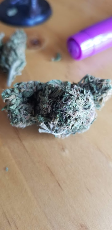 Blue Satellite from the Colombian Coast

#weedstagram420
#stoned
#iwillmarrymary
#smokeweedeveryday
#medicalmarijuana
#dab
#weedlife
#sativa
#weed420
#keepitchronic