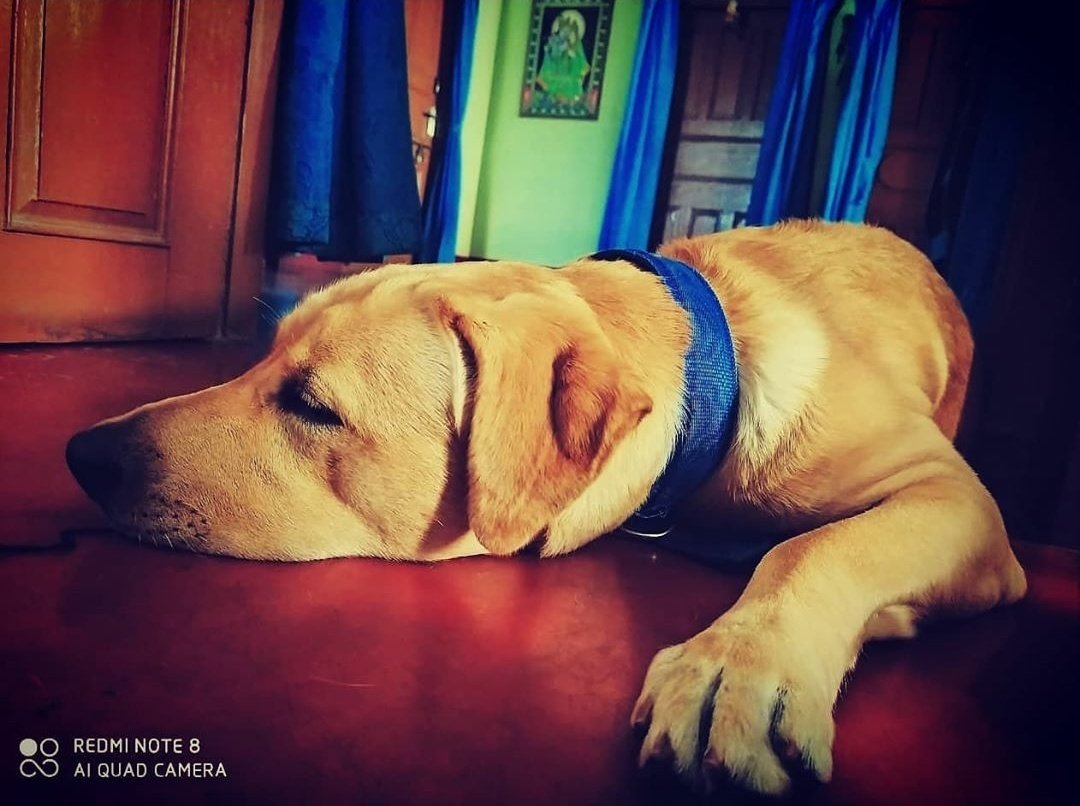 Kabisubham12381's tweet photo. Theme photography
#MARPOINTS
#MAKAUT https://t.co/9riPmwVrzJ