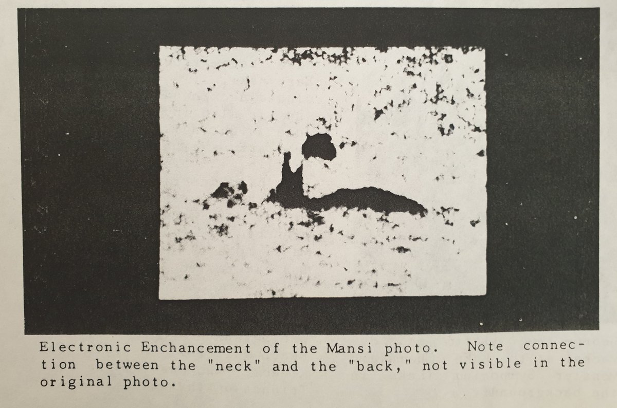 Rather, they’re at an angle which is difficult to reconcile with anatomy. A dark area in between the two has been argued (by Zarzynski and others) to be a physical connection (in which case the upright part of the neck has an even stranger connection with the ‘body’), but...