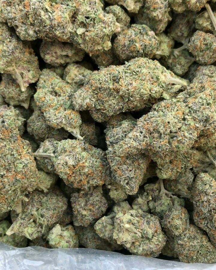 #cannabisseedcollector #cannabisloversvases #cyprusweedlovers #smokinghighgradeepalbum #cannabisstrains #strainhuntersexpedition #purplehazemanicpanic #ganjalife #purplehazetrip #hightimesni #cbdoiluk #ogkushlaconfidential #blueberry #cannabissativaoilavon #cannabisíndica
