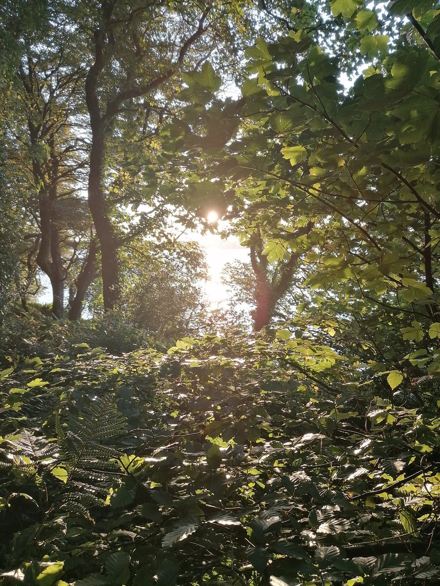 forestbathingw1's tweet photo. @OpinionLine96 https://t.co/fZRSU4Krhl