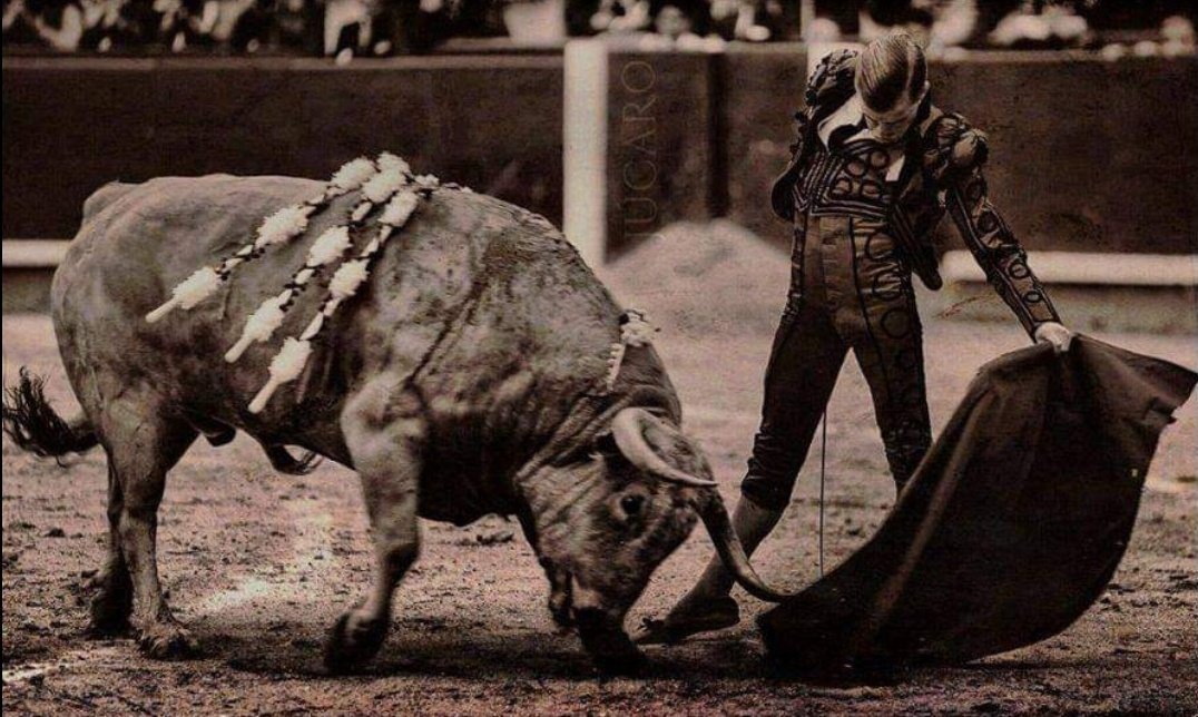 Tarde o temprano volverá a sentirlo...
#JavierCortes