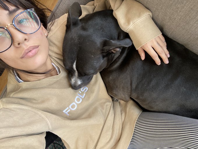 my dog is very sweetly napping on my chest. i am sneaking her very soft head kisses. https://t.co/nW