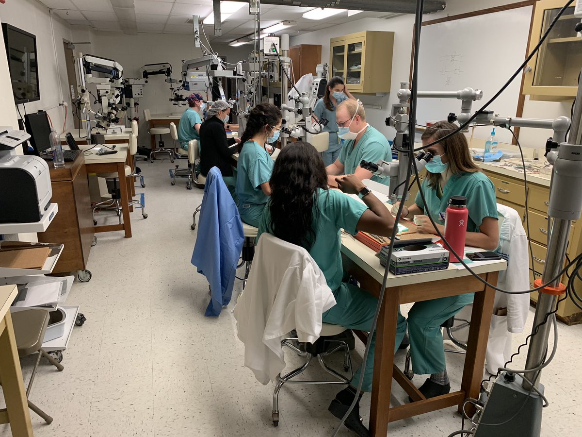 Friday afternoon microvascular simulation with the residents <a href="/KU_ENT/">KU Otolaryngology - Head & Neck Surgery</a>