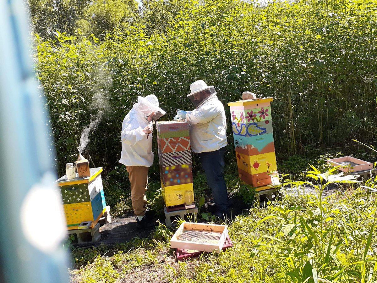 SquatchParanoid's tweet photo. Another PERFECT Day. #Squatchlife #LifeGoals #savethebees https://t.co/fiVC14vl3m