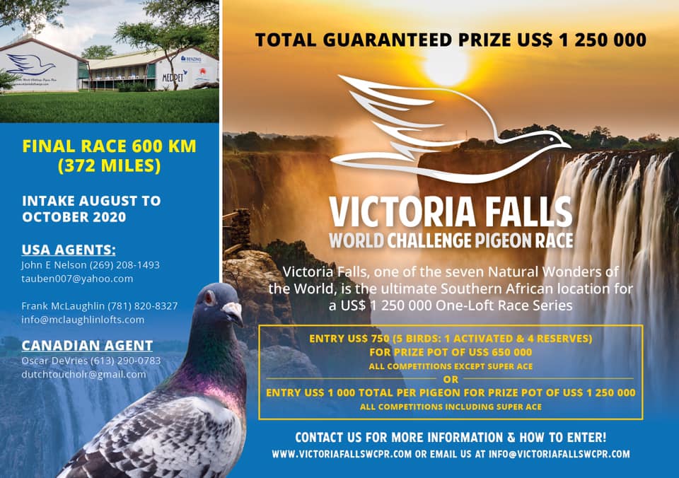 vfwcpr's tweet photo. Entries are now open for the #VFWCPR2021 race.  If you are not in the US or Canada, feel free to send a message.

#Oneloft #Pigeonracing #Racingpigeons #pigeonloft #pigeons #pigeonsport #victoriafalls https://t.co/PSHqc0Hgmj