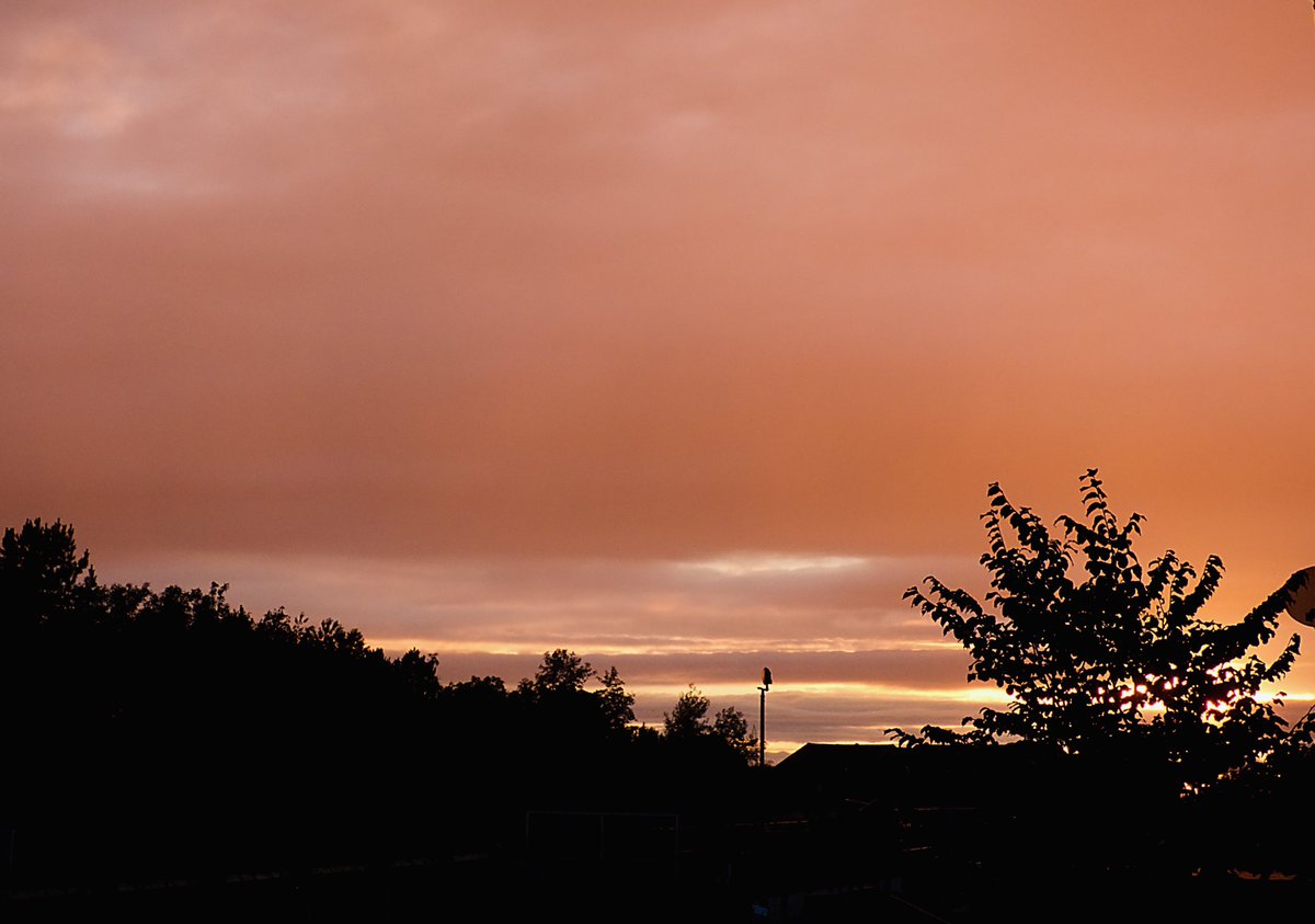 ccbigcam's tweet photo. Amazing Sunset tonight
Very dynamic changes within minutes and it looked like it was done....But.
#Sunsets #FromMyWindow
#LockdownPhase? #LockdownSunsets
@StormHour @LensAreLive
@ThePhotoHour
#WeatheringWithYou #WeatherWatchers https://t.co/ShluXKRSUf