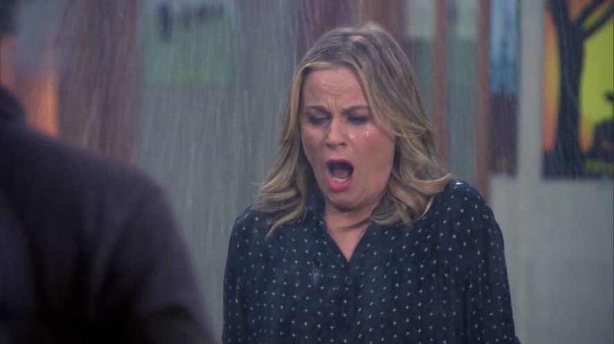 7x04 - leslie and ron