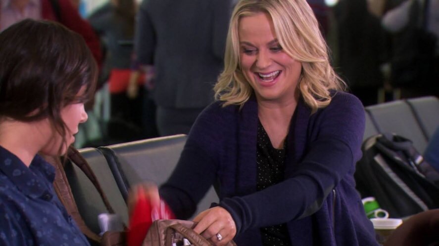 7x08 - ms. ludgate-dwyer goes to washington