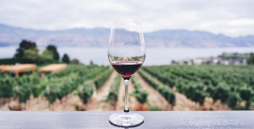 discoverbeijing's tweet photo. Beijing Gets International With a Japanese Beer Festival and an Italian Wine Tasting. https://t.co/K5SXIcuGU5 https://t.co/sBpct47X1B