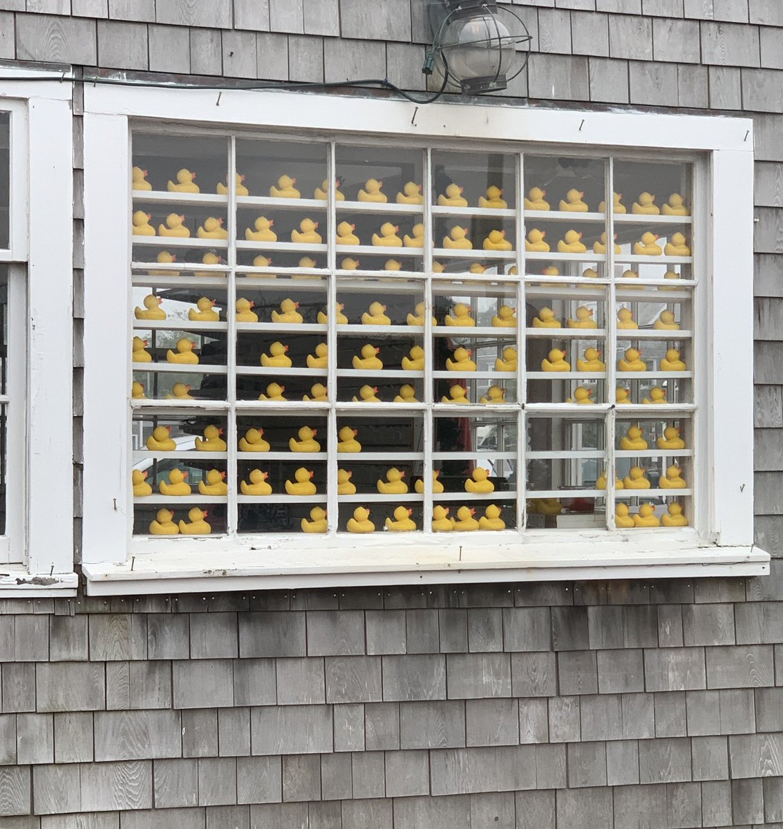 BauerPower15's tweet photo. #FSMSummerRead @LorraineRadice1 @MrDougCornett #lbreads One of our favorite places to visit on our yearly vacation. Especially poignant this year! One of our favorite places to visit on our yearly vacation. Especially poignant this year! https://t.co/aqWTsmfSbC