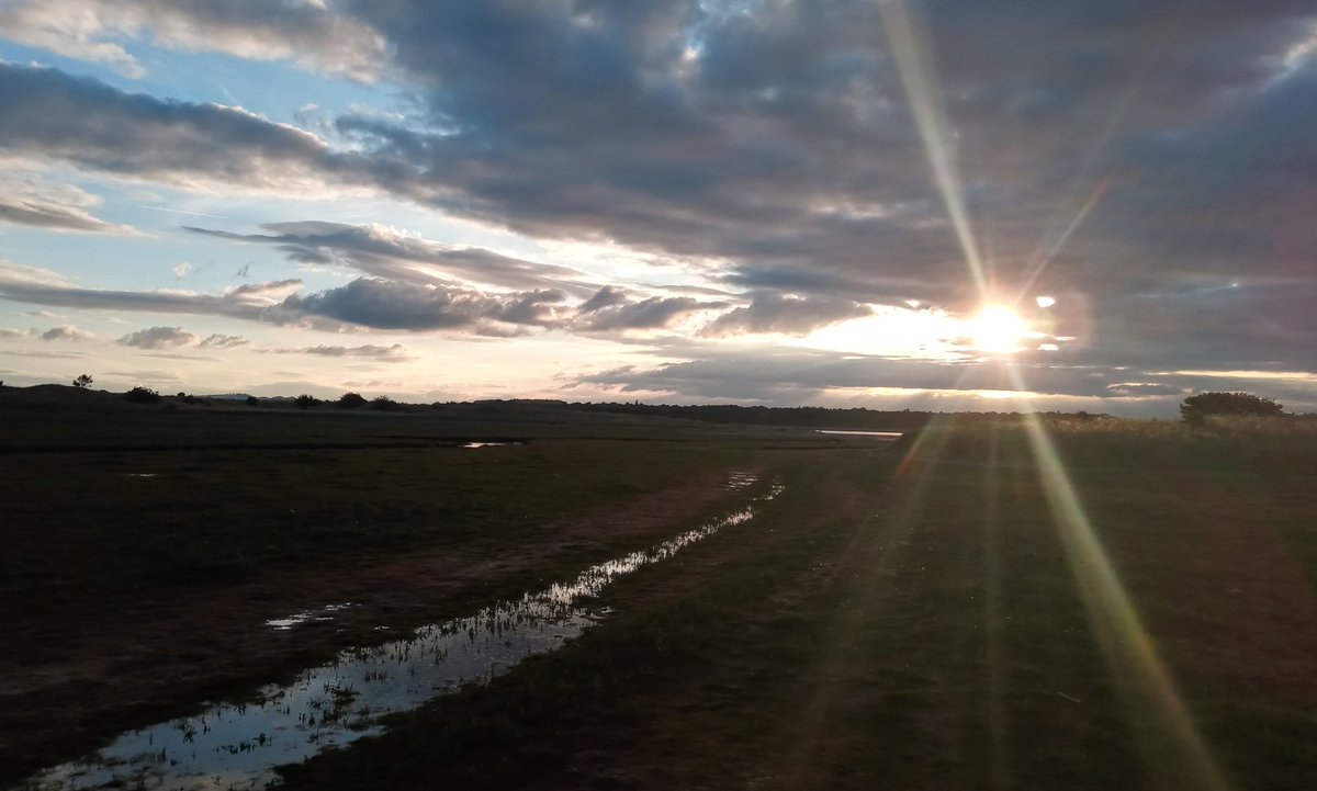 JorvikLass's tweet photo. ...walking beside the first signs of autumn, across the salt marsh, looking back towards the #Hedderwick sunset.... https://t.co/RWDUZziBRr
