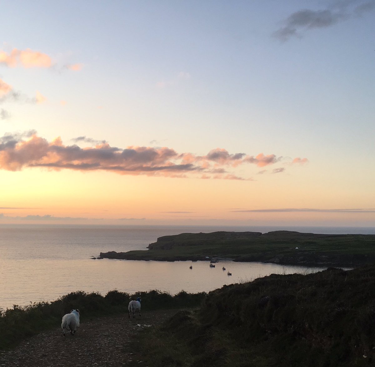 EpiJackie's tweet photo. Neighbourhood watch #Lenan #Inishowen
This mother and daughter pretended not to follow us and *remained vigilant* until they were sure we were getting off their mountain. Not subtle. https://t.co/e1phAxANJb