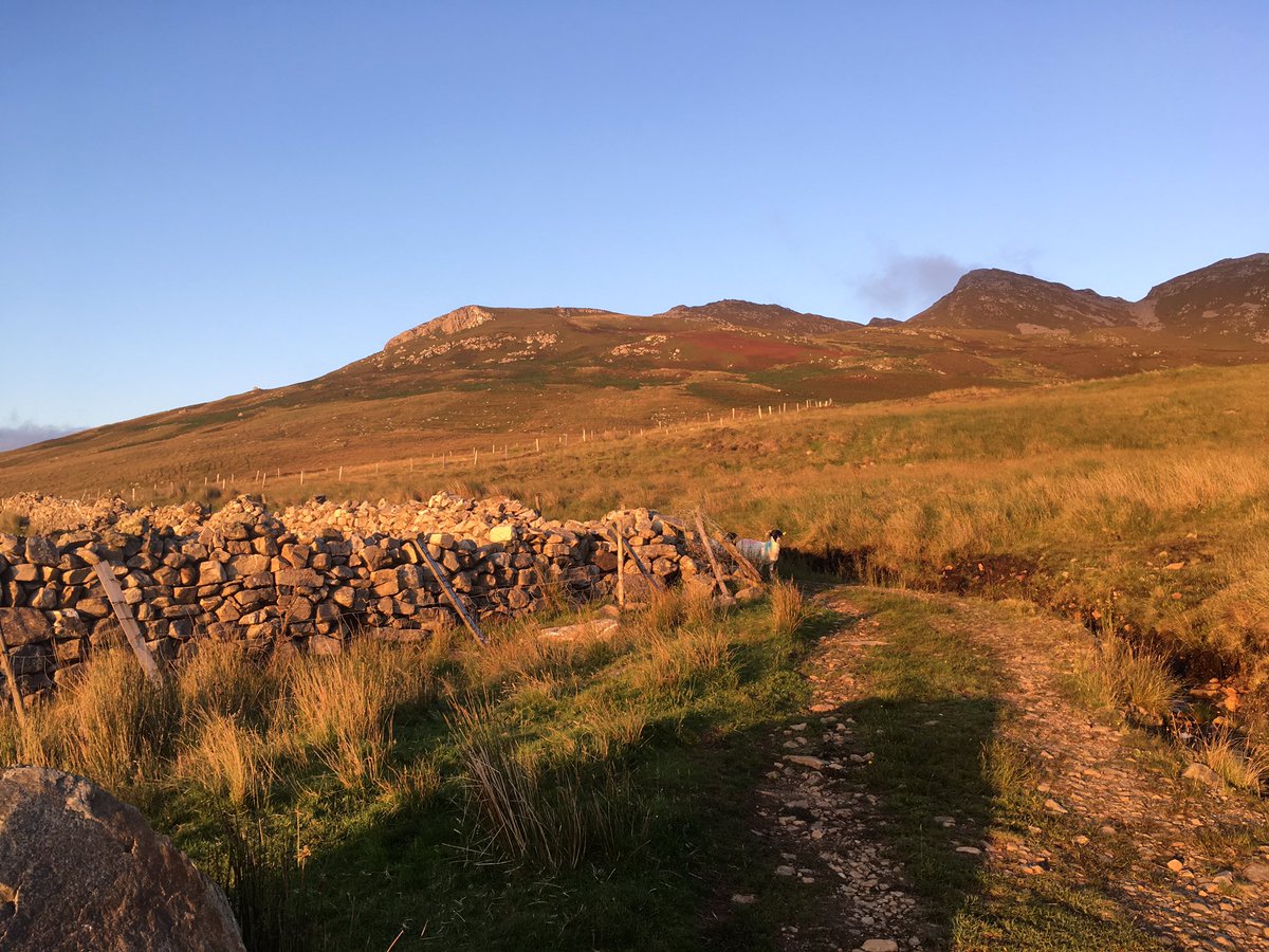 EpiJackie's tweet photo. Neighbourhood watch #Lenan #Inishowen
This mother and daughter pretended not to follow us and *remained vigilant* until they were sure we were getting off their mountain. Not subtle. https://t.co/e1phAxANJb