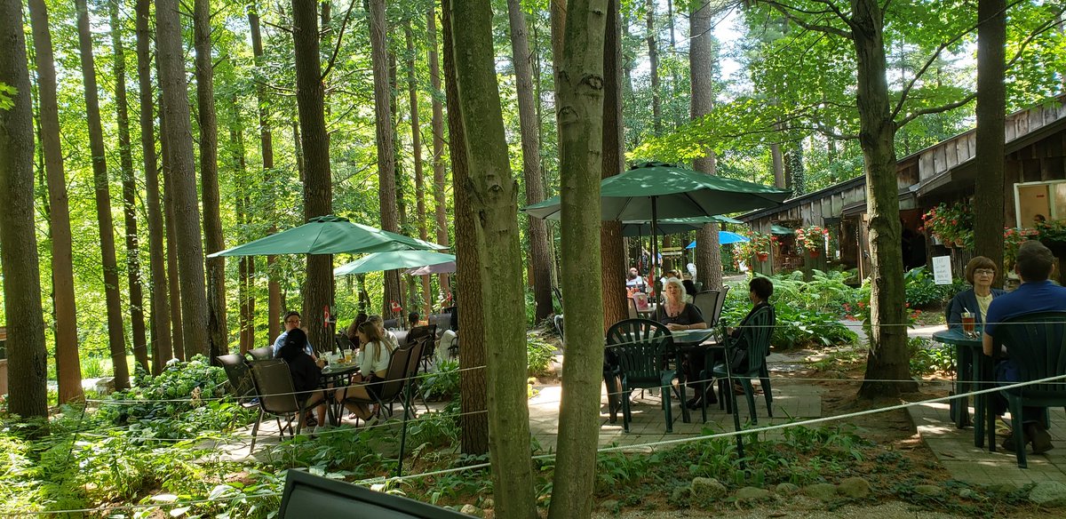 LizHenry438's tweet photo. Spent a lovely afternoon with 2 friends at one of our favourite spots, eating under the trees at #pinecroft in Aylmer, Ontario.❤🇨🇦 https://t.co/FHsRBzm9G3