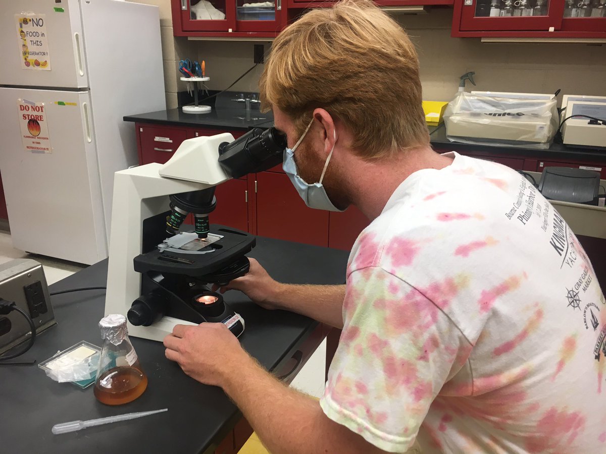 SharpKoty's tweet photo. All the hard work pays off! Astrangia larvae looking great and getting into experiments. What a team here @myrwu 

#Astrangiathings #coralspawning https://t.co/UK8lFUh5Ri