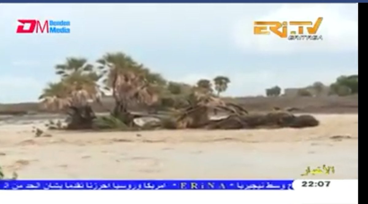 QQarramis's tweet photo. Disturbing images coming from #Eritrea confirm that the #RedseAfar has been exposed to an unprecedented humanitarian catastrophe due to floods, which constitute an additional burden on the already months long sieged civilian by the regime and exacerbate the #EritreanHiddenFamine https://t.co/rgUEQlhz91