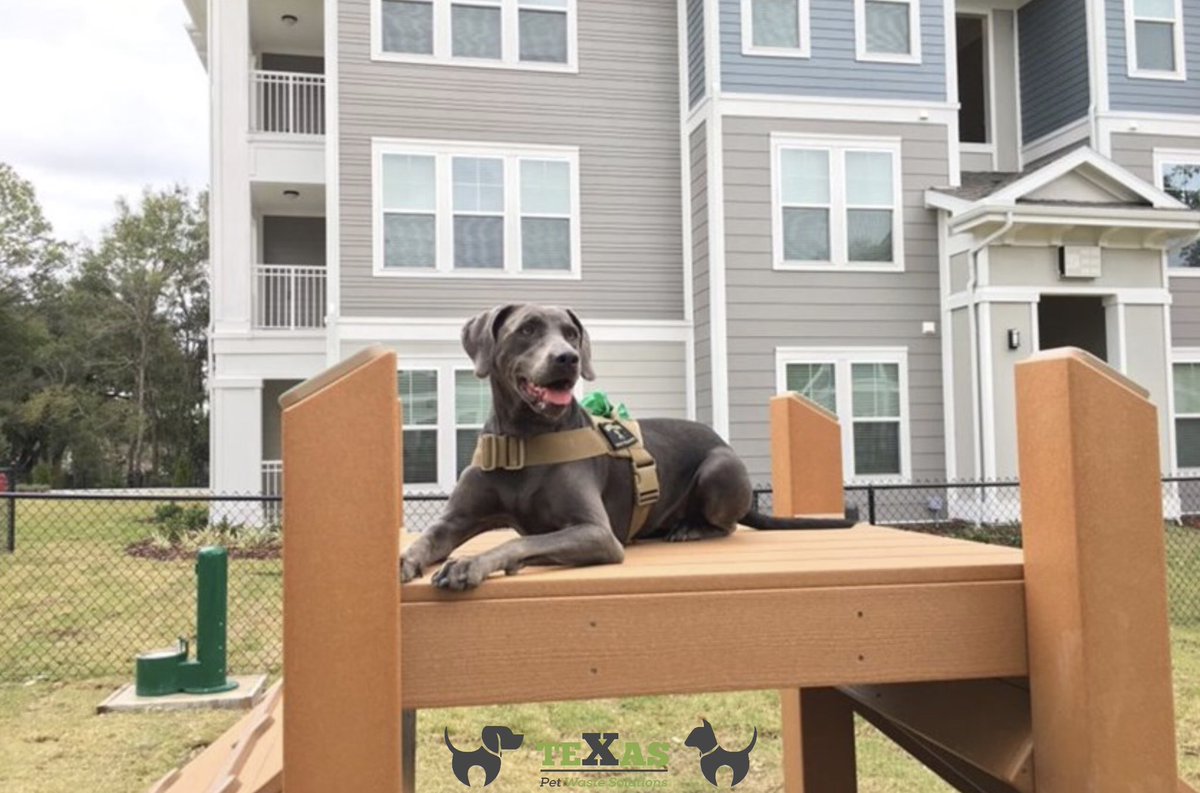 Work in an HOA or apartment complex. We can help!

Contact/ Follow Us:
Phone: (281) 760-3191
Website:texaspetwastesolutions.com
.
#pethealth #dogboarding #dogfood #petlover #doglife #doggy #dogdaycare #vet #catlover #petstore #dogwalking #HalaMadrid #texaspetwastesolutions