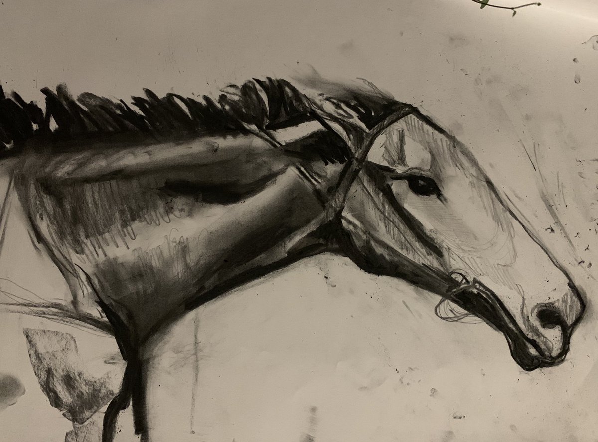 FriendsofMrEd's tweet photo. We did a drawing last night of our friend @MakybeDiva_ such a beautiful and amazing horse. #melbournelockdown #friendsofmred #makybediva @sbcAUS https://t.co/n72BJeCAGv