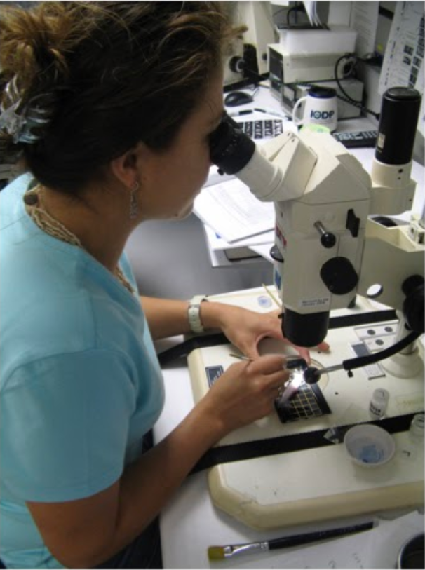 (4/9) Lizette is an expert in Micropaleontology - Planktic and benthic foraminifera applied to Biostratigraphy and Biofacies. Her research focuses on Micropaleontology and carbonate reservoir exploration  #WomeninScience  #RepresentationMatters