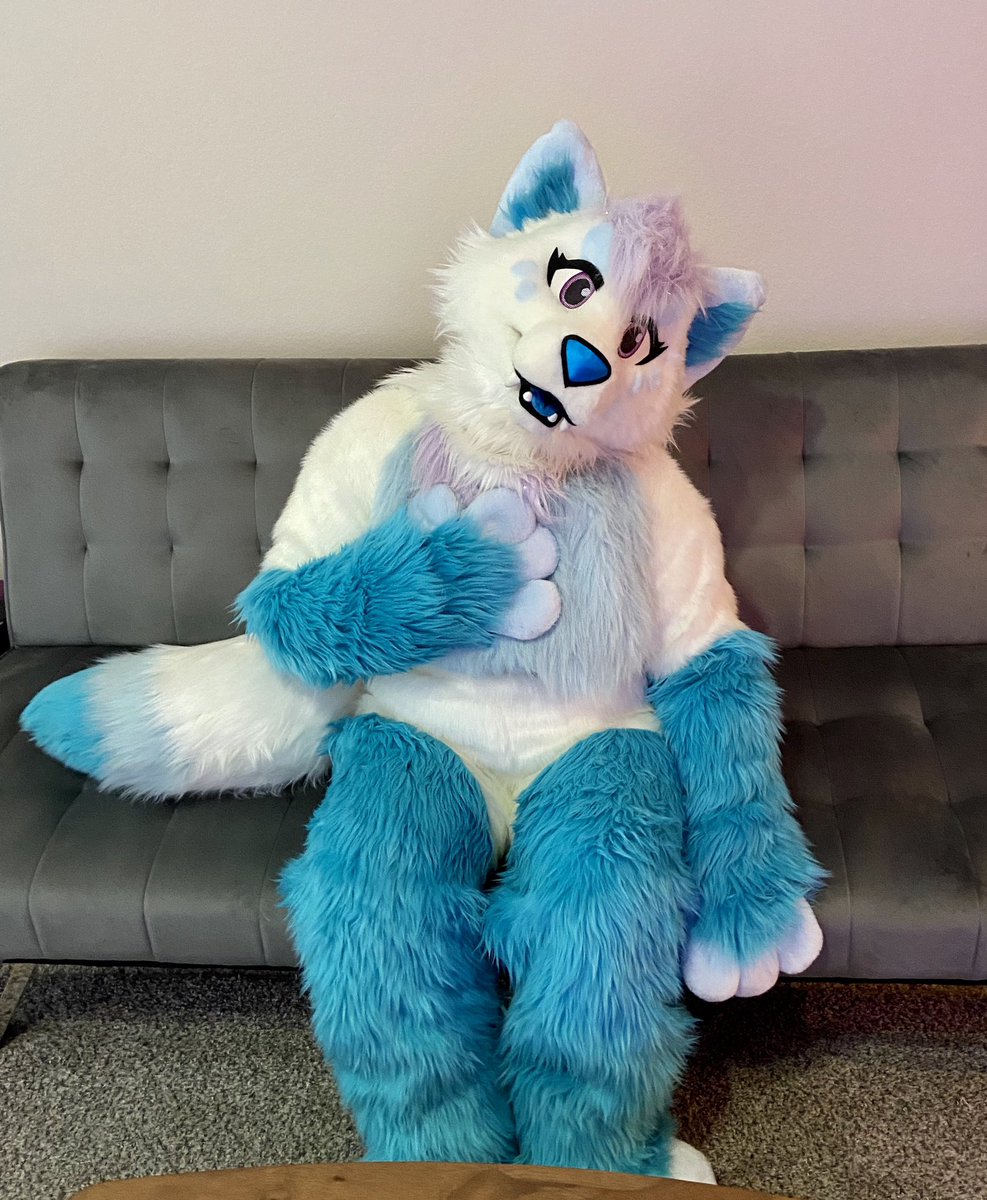 SamediSaber's tweet photo. HAPPY #FursuitFriday!!! This is my first fursuit Friday in SO long and I am so happy to introduce (or re-introduce!) you all to Wisp the Arctic Fox. Stay tuned for some shenanigans 👀 @DontHugCacti #dhcsuiter https://t.co/fcLuY3INXI