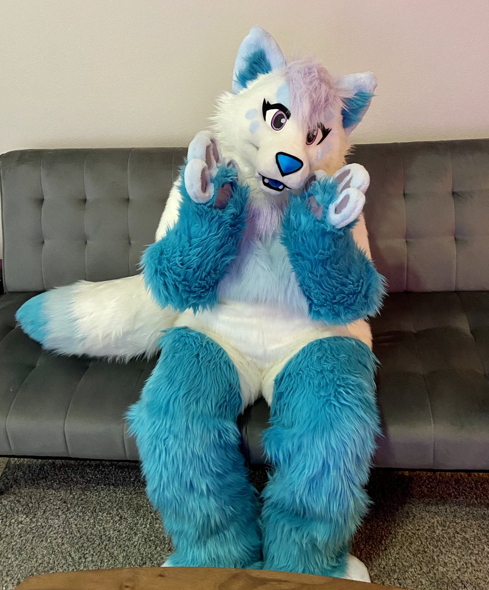 SamediSaber's tweet photo. HAPPY #FursuitFriday!!! This is my first fursuit Friday in SO long and I am so happy to introduce (or re-introduce!) you all to Wisp the Arctic Fox. Stay tuned for some shenanigans 👀 @DontHugCacti #dhcsuiter https://t.co/fcLuY3INXI