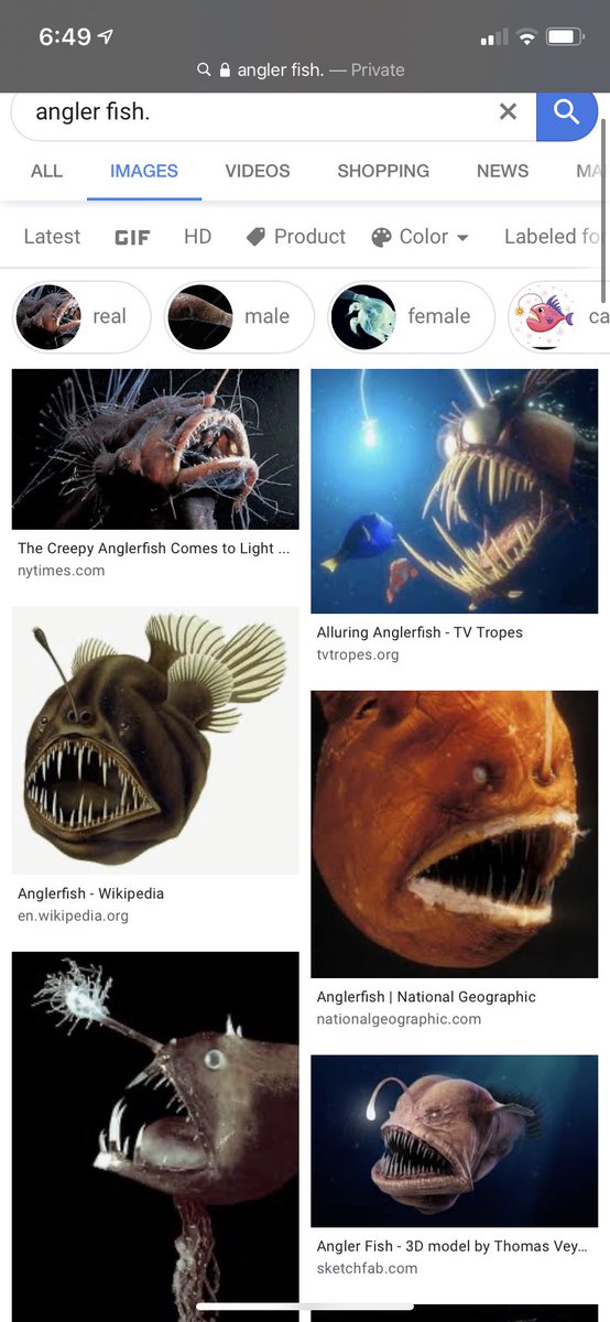 MARLEYN0TBOB's tweet photo. giselle: why would i hate angler fish :) 
angler fish: https://t.co/XVEUKb3k5y