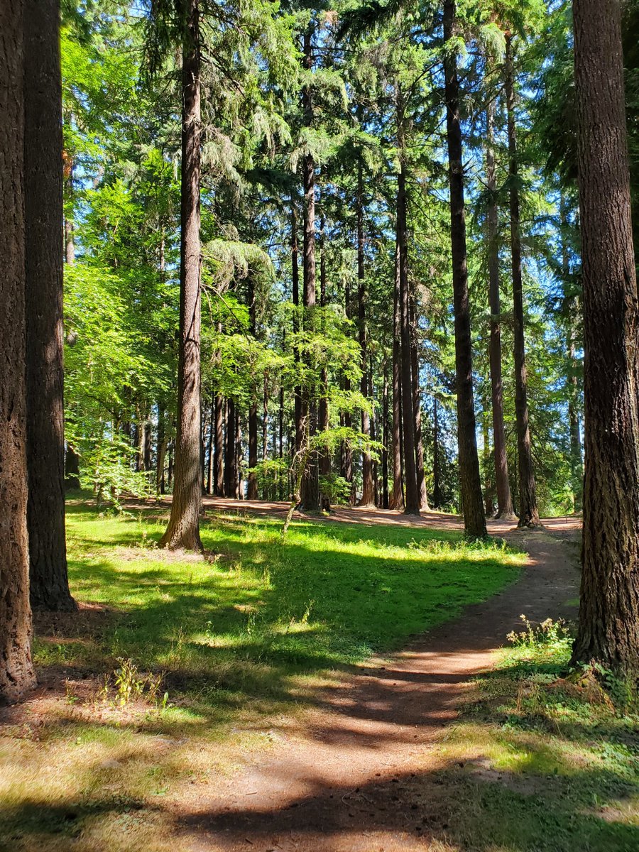 PortlandMXC_TF's tweet photo. #85: RUN PORTLAND - Pier Park
Located just three miles from campus, Pier has been a favorite for shaded kilometer and mile repeats over the years.
#InsideUPXC https://t.co/tocJDf80hn