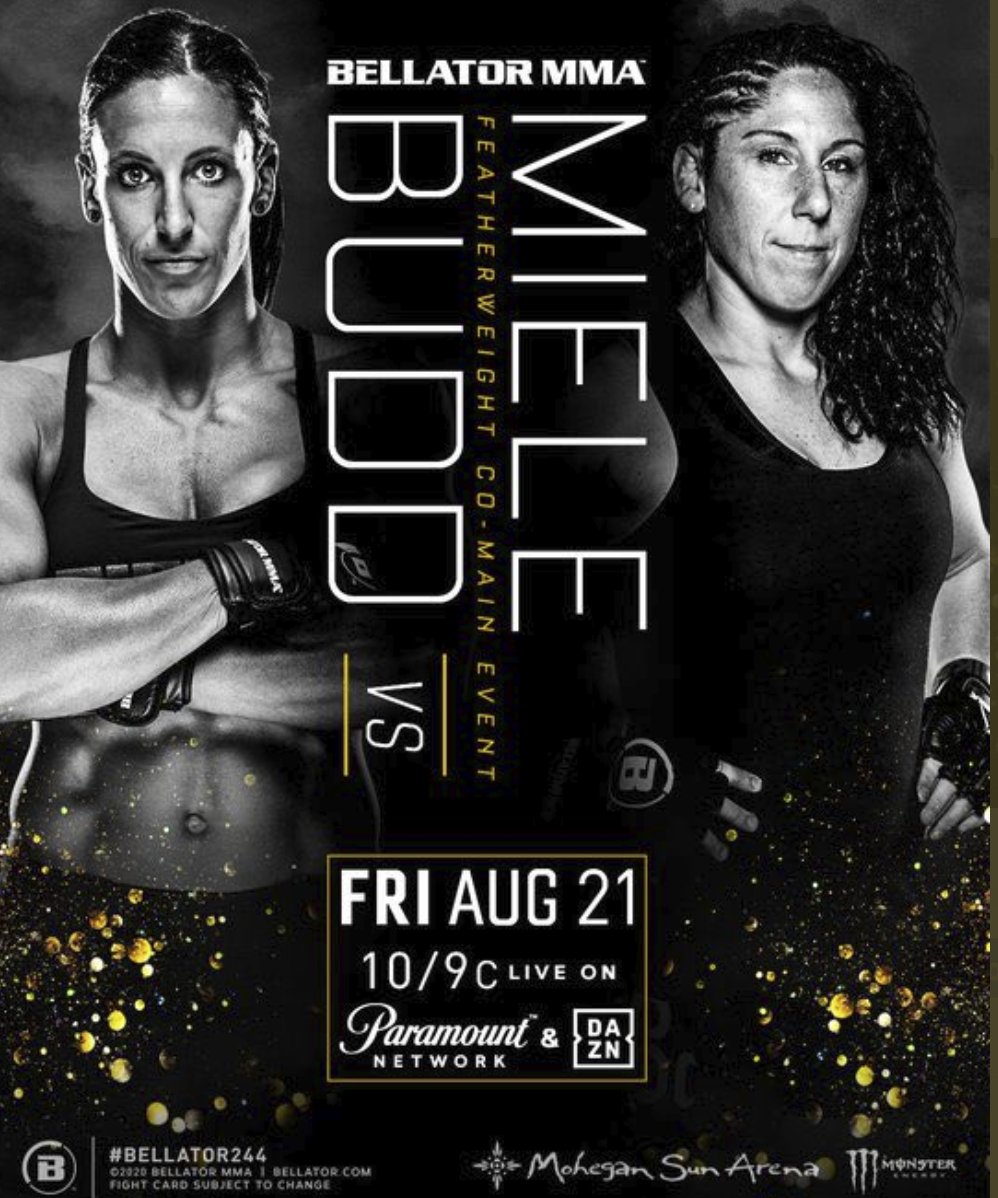 wmma 3 crack wmma 3 crack