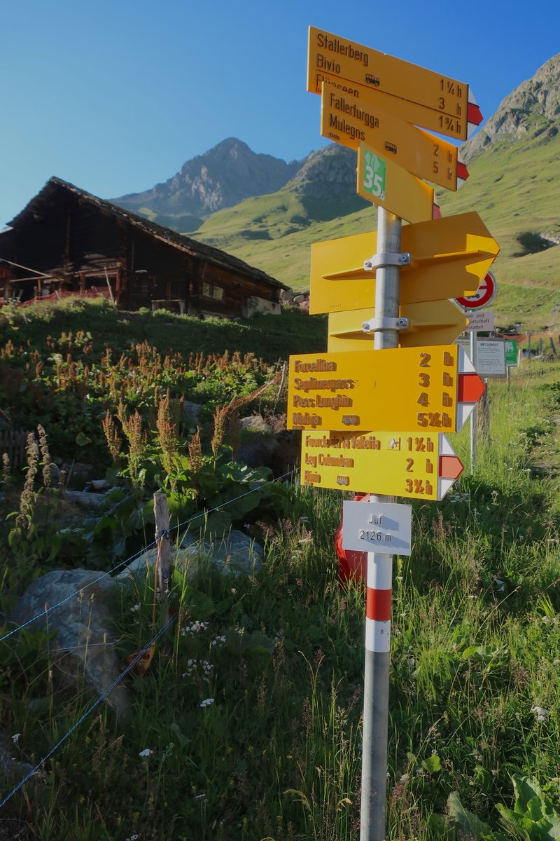 Seginus's tweet photo. Und ein Besuch in Juf, der mit 2126m höchstgelegenen Gemeinde Europas. Kein Wald weit und breit - die Baumgrenze liegt bereits weit unterhalb. Auf dem ersten Bild erhellen gerade die letzten Sonnenstrahlen den Piz Forcellina. #alpenglühen https://t.co/00aPD0dnpi