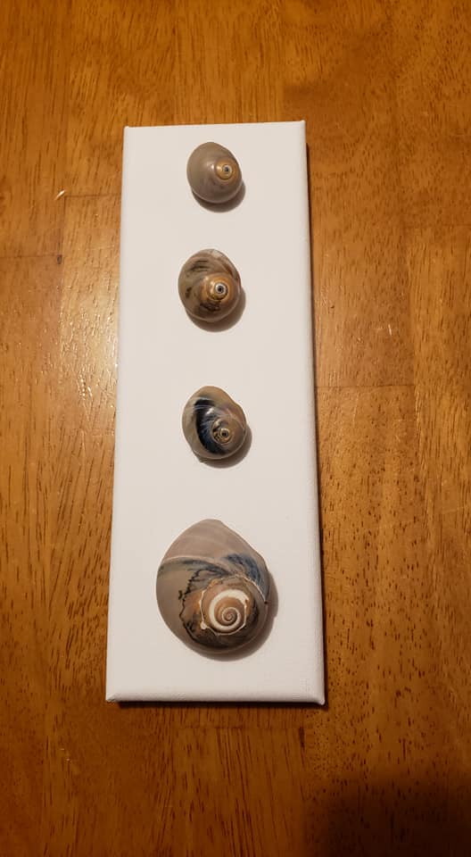 markbolanowski's tweet image. 