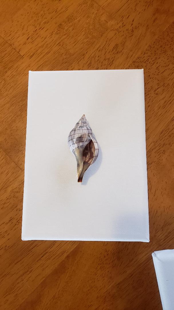 markbolanowski's tweet image. one of three - all items for sale