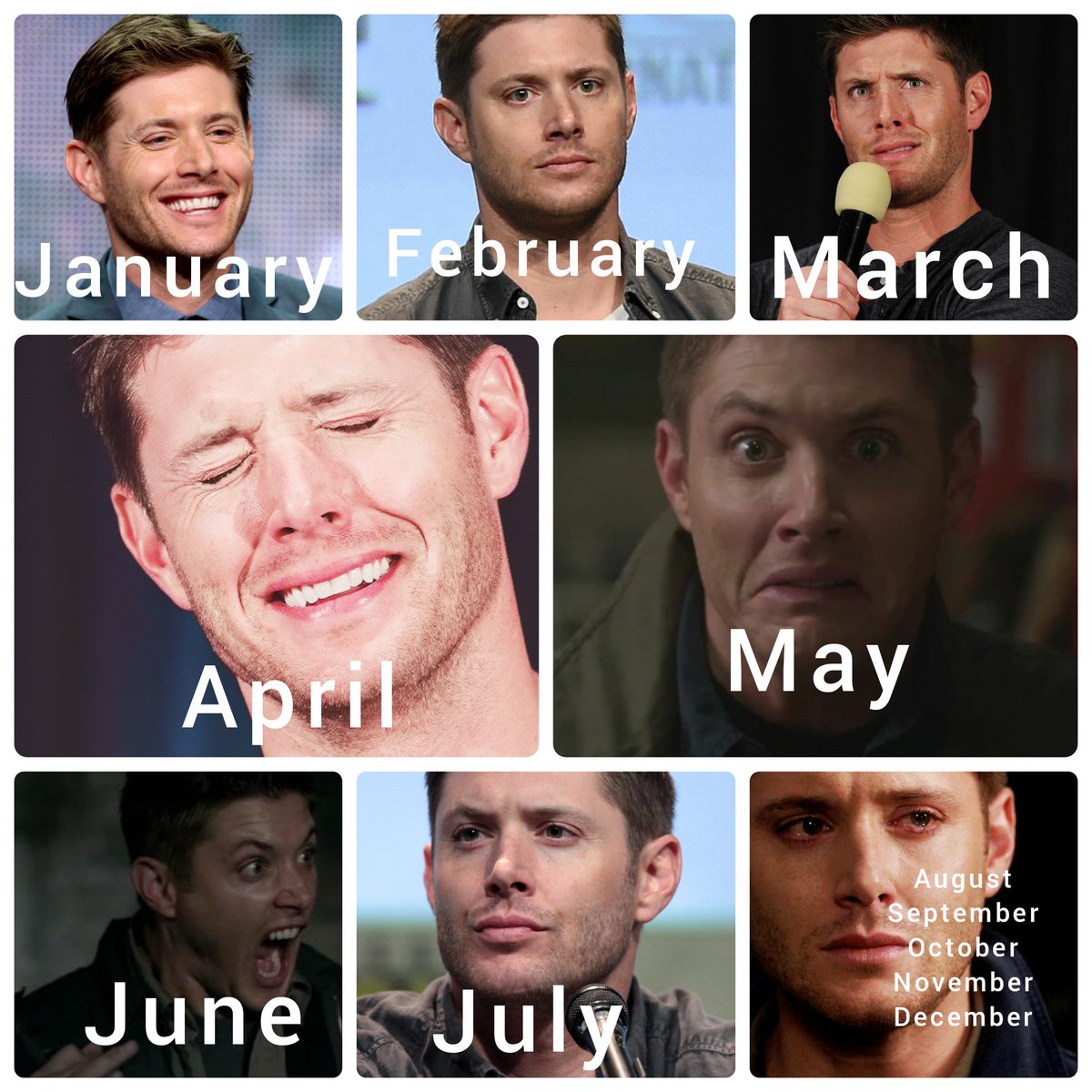 ant_lizabeth's tweet photo. @JensenAckles #2020MakesMeFeelLike #GISH https://t.co/0YoBIgHIEm