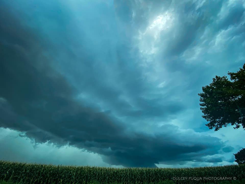 Aubrey Urbanowicz tweet media