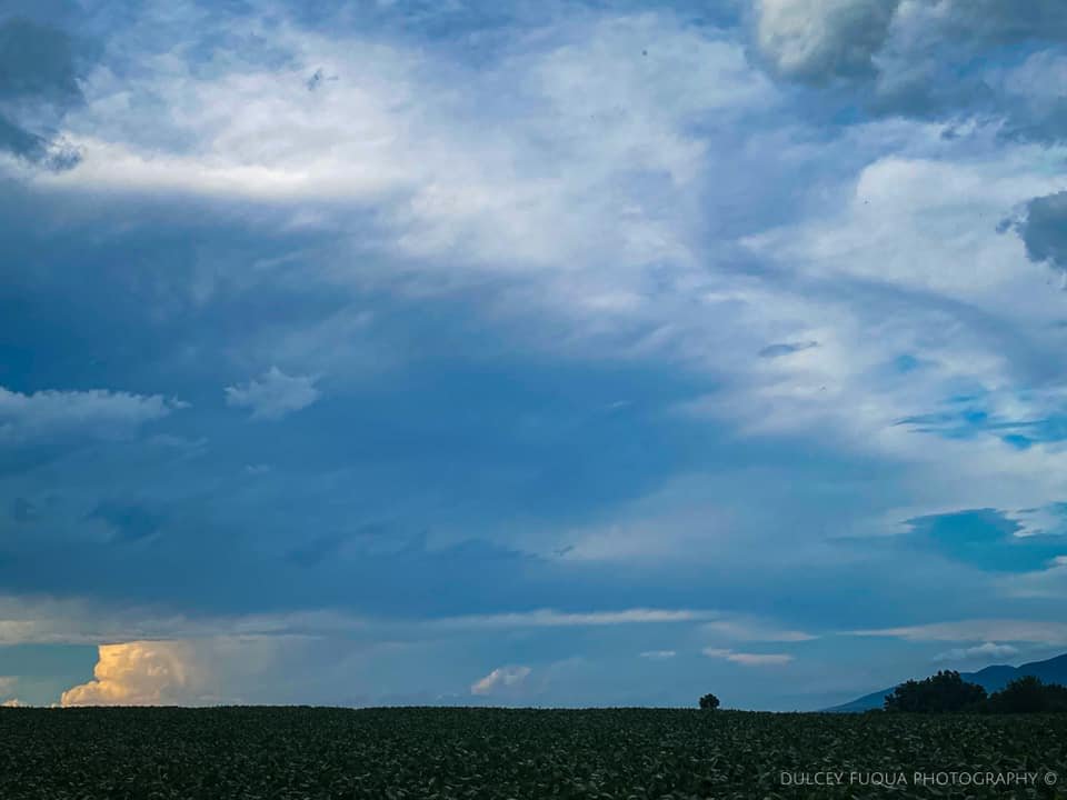 Aubrey Urbanowicz tweet media