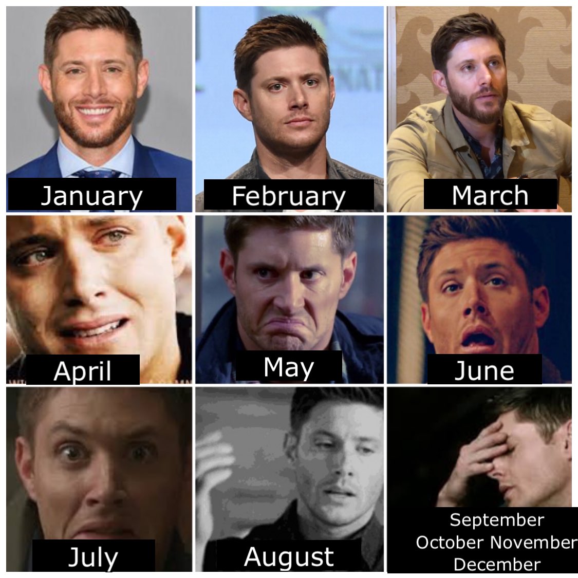 Love798's tweet photo. @JensenAckles #GISH #2020MakesMeFeelLike @SPNFTWgish https://t.co/tI2S8RUcfi