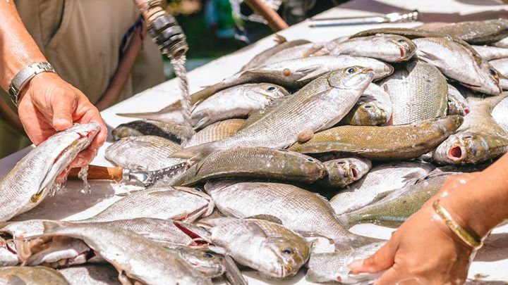HCFHawaii's tweet photo. We're honored to announce 30 nonprofits that will receive $721,739 in grants, funded by @oha_hawaii, to support community-based food security efforts in Native Hawaiian communities. Read more here: https://t.co/0nWVqSWQk8 #strongfund #hawaiian #community #foodsecurity https://t.co/z9q9ODL2Ae