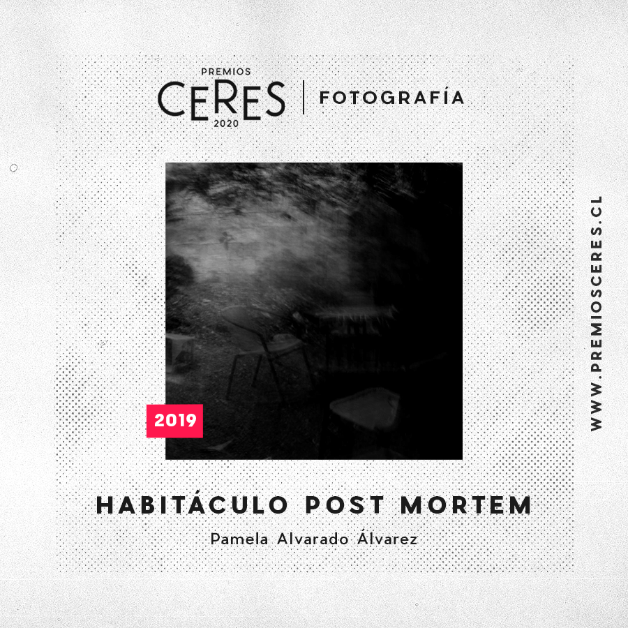 PremiosCeres's tweet photo. Te presentamos los nombres de las obras finalistas de Premios Ceres 2020 en la categoría Artes Visuales, subcategoría Fotografía:

#PremiosCeres #Ceres2020 #LosÁngeles #Arauco #Concepción #artesvisuales #fotografía https://t.co/k2TCIQYLXp